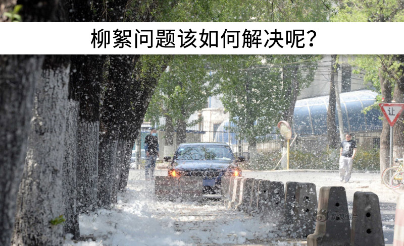 遇到“柳絮”不慌!這樣做，節(jié)能維修費用